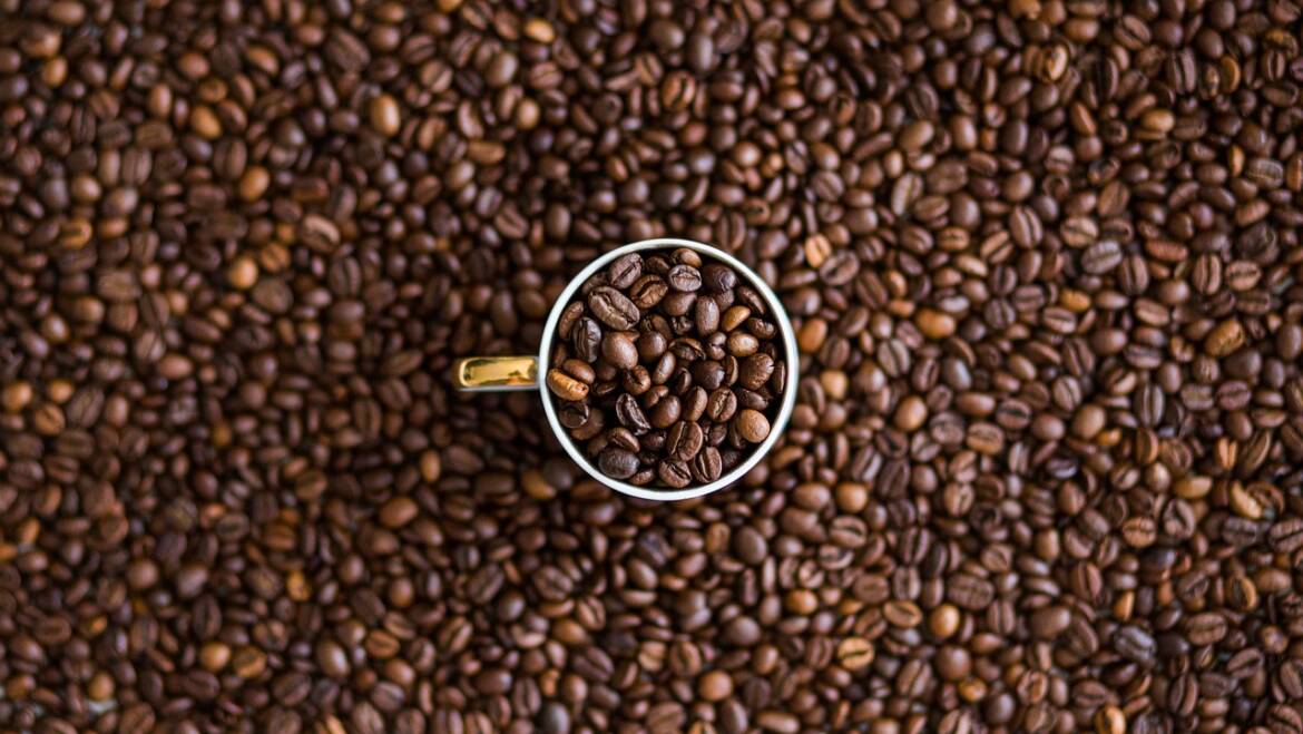Impacta cambio climático producción de café