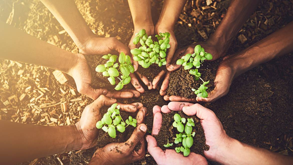 Día nacional de la sanidad vegetal: proteger las plantas es proteger la agricultura