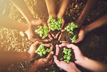 Día nacional de la sanidad vegetal: proteger las plantas es proteger la agricultura
